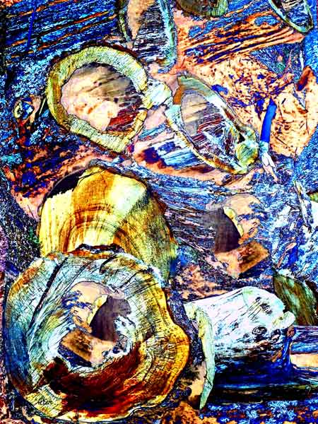 Nativit&eacute; chez les clandestins - Une image inspir&eacute;e par Rico Nosseb