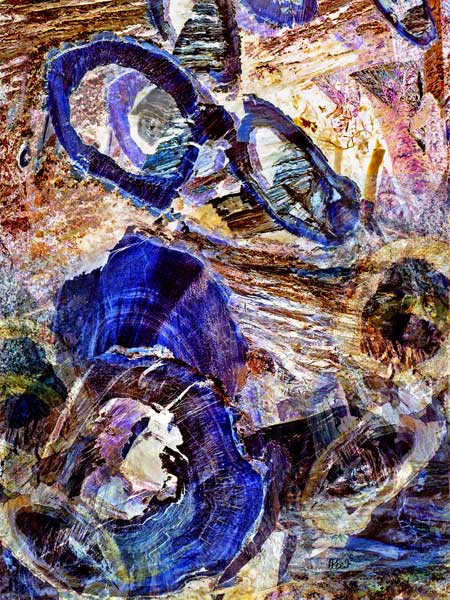 Un tableau photographique d'Alber't