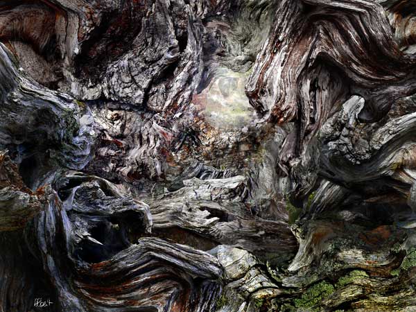 Le cauchemard de Schark Alber't Clandestino