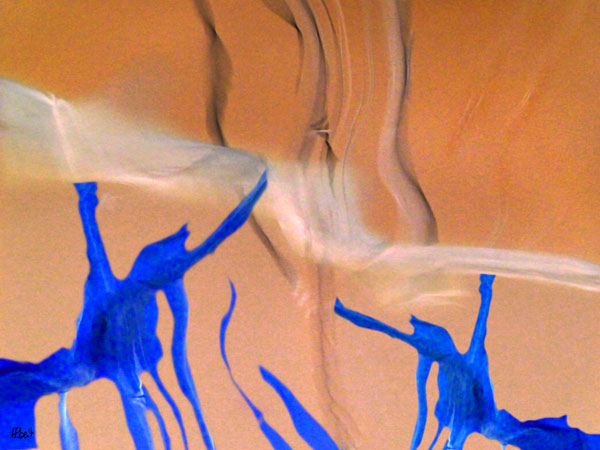 Serpent des sables : une photographie abstraite d'Alber't