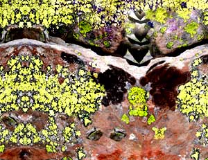 les peintures photographiques d'Alber't