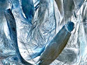 photos abstraites d'Alber't : Fibres