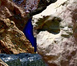 Alber't : tableaux photographiques