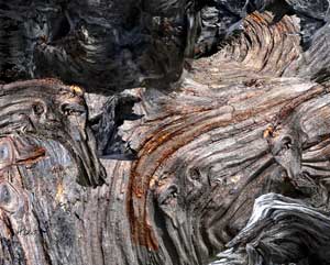 M&eacute;pris de la temp&ecirc;te une peinture photographique d'Alber't