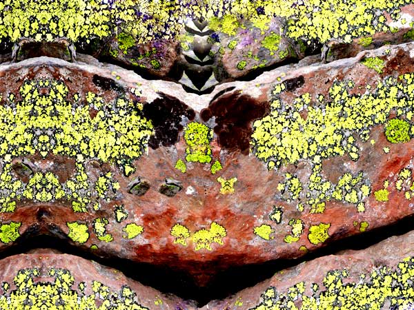 Arr&ecirc;te de te faire mousser : une peinture photographique d'Alber't
