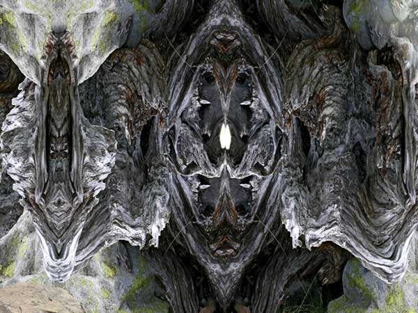 Une all�gorie des sommets alpestres : spectres des sommets